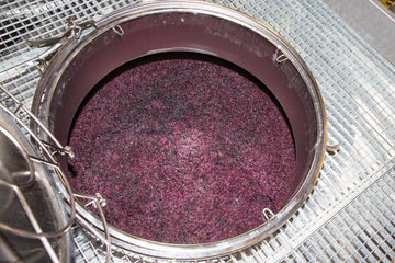 The must is placed in vats where fermentation begins, transforming juice into wine.