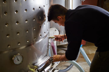 During fermentation, the developing wine is regularly checked to guide its transformation.