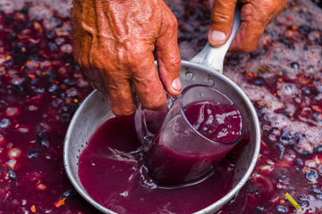 Red wine ferments with its skins, extracting color, tannin, and flavor from dark grape varieties such as Cabernet Sauvignon, Merlot, and Pinot Noir.