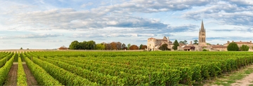 In the vineyards of Saint-Émilion and across Bordeaux, blending grape varieties such as Cabernet Sauvignon, Merlot, and Cabernet Franc creates wines of balance, complexity, and character.