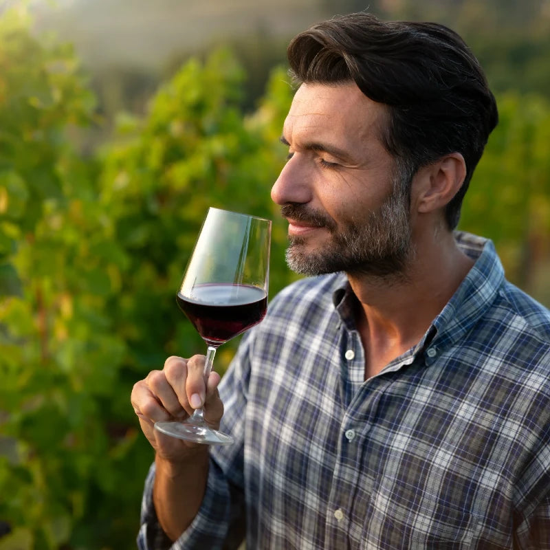 How to Identify Wine Flavors