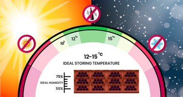 Consistent temperature, ideal humidity, and protection from light and vibration form the foundation of professional wine storage.
