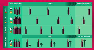 Purpose, planning, and balance: the key to a well-curated cellar that matures with taste and intent.
