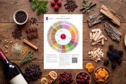 Wine Flavour Wheel