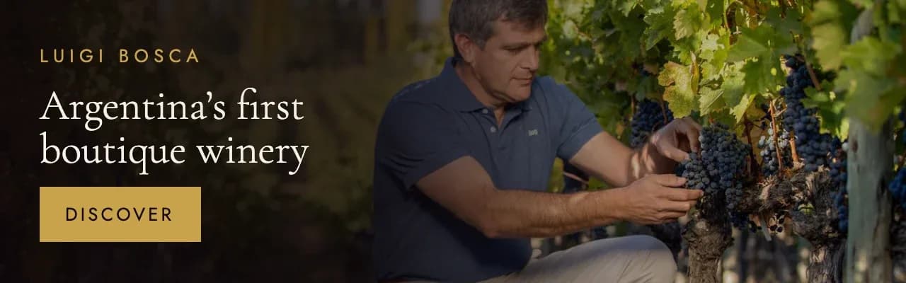 A grower inspecting Malbec fruit on the vine. Luigi Bosca, Mendoza, Argentina, since 1901: Argentina's first boutique winery.