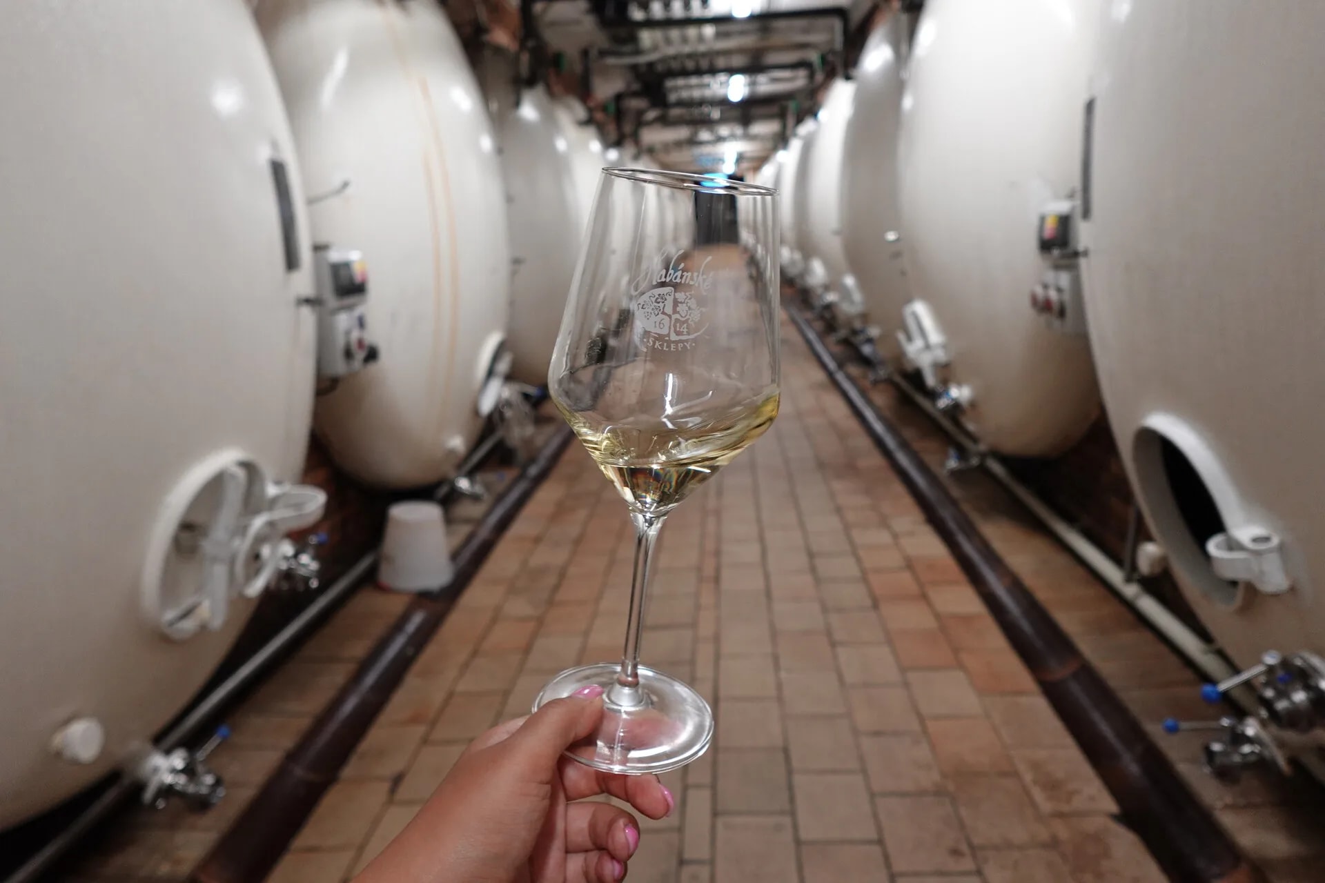A glass of white wine raised between stainless steel tanks