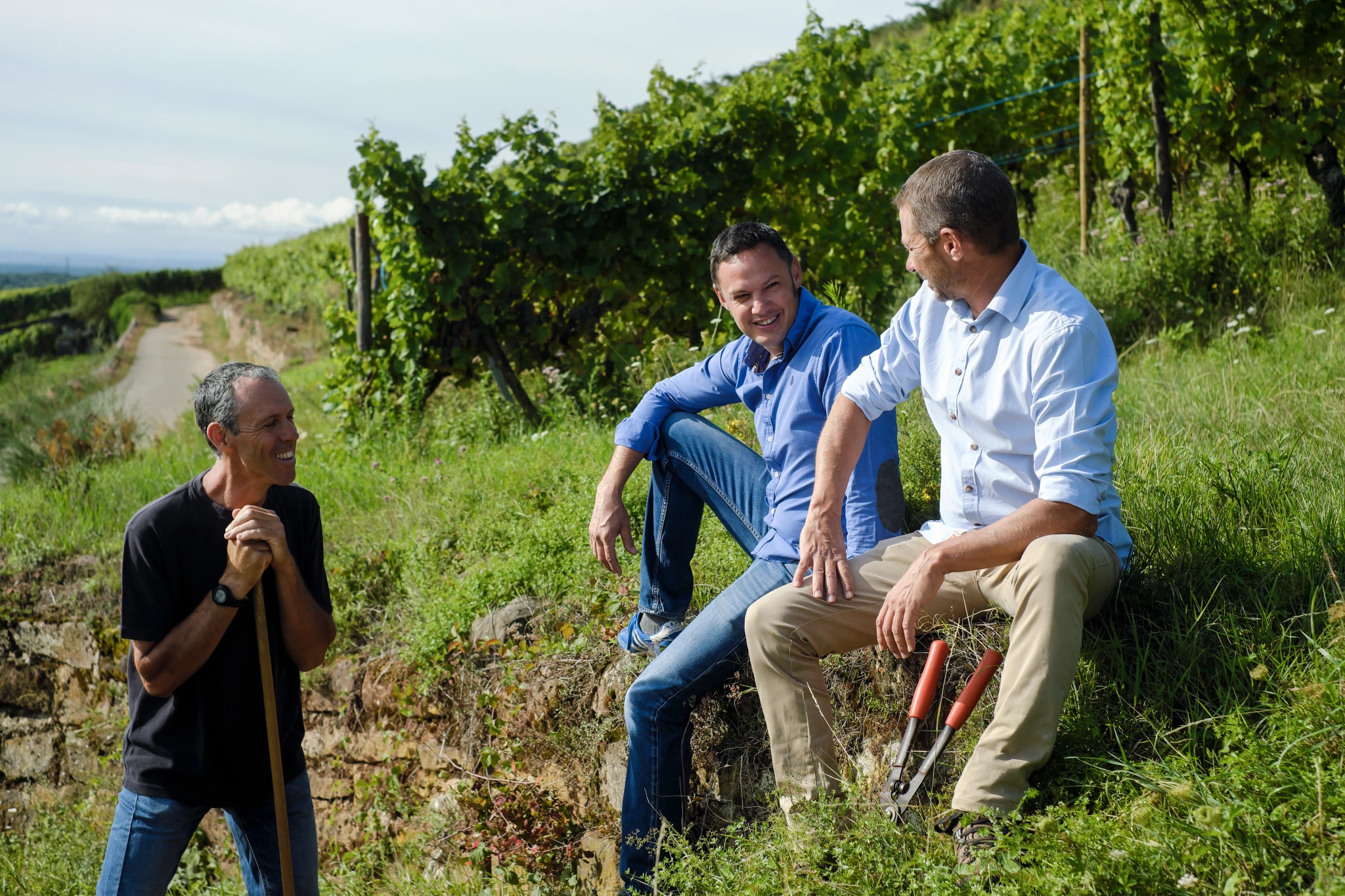 Lucien Albrecht growers talking in the vineyard