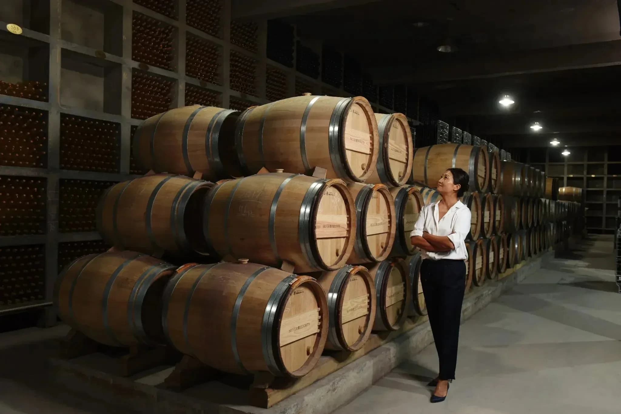Key Wineries Shaping Modern Chinese Wine