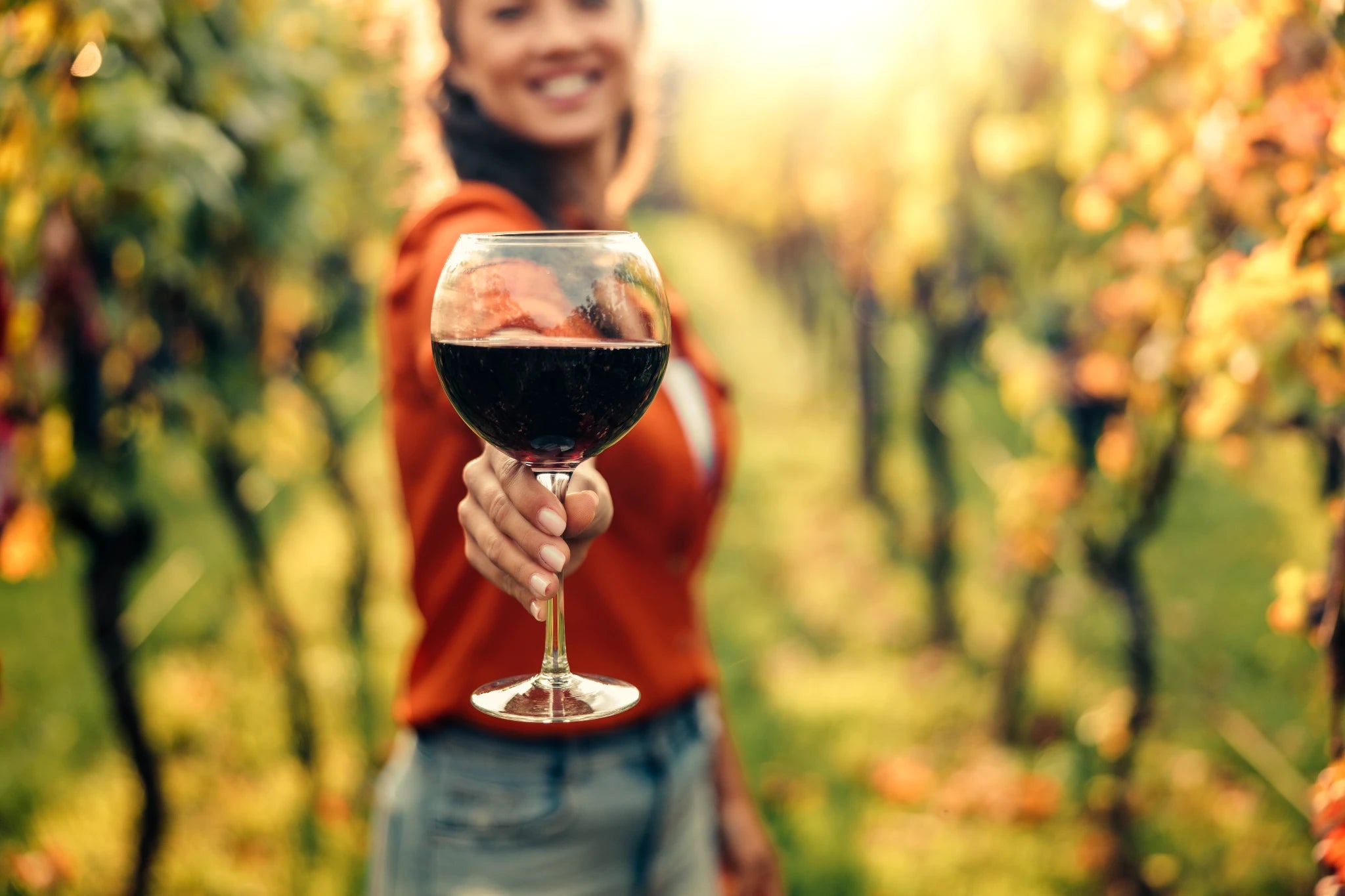 10 Best Value Wine Regions Around the World