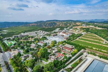 Vineyards of Rongzi Estate in Xiangning County, Linfen City, Shanxi Province