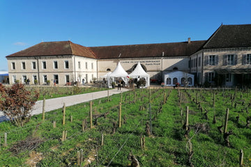 Château de Chassagne-Montrachet, where we enjoyed a tasting of organic wines in the heart of Burgundy.