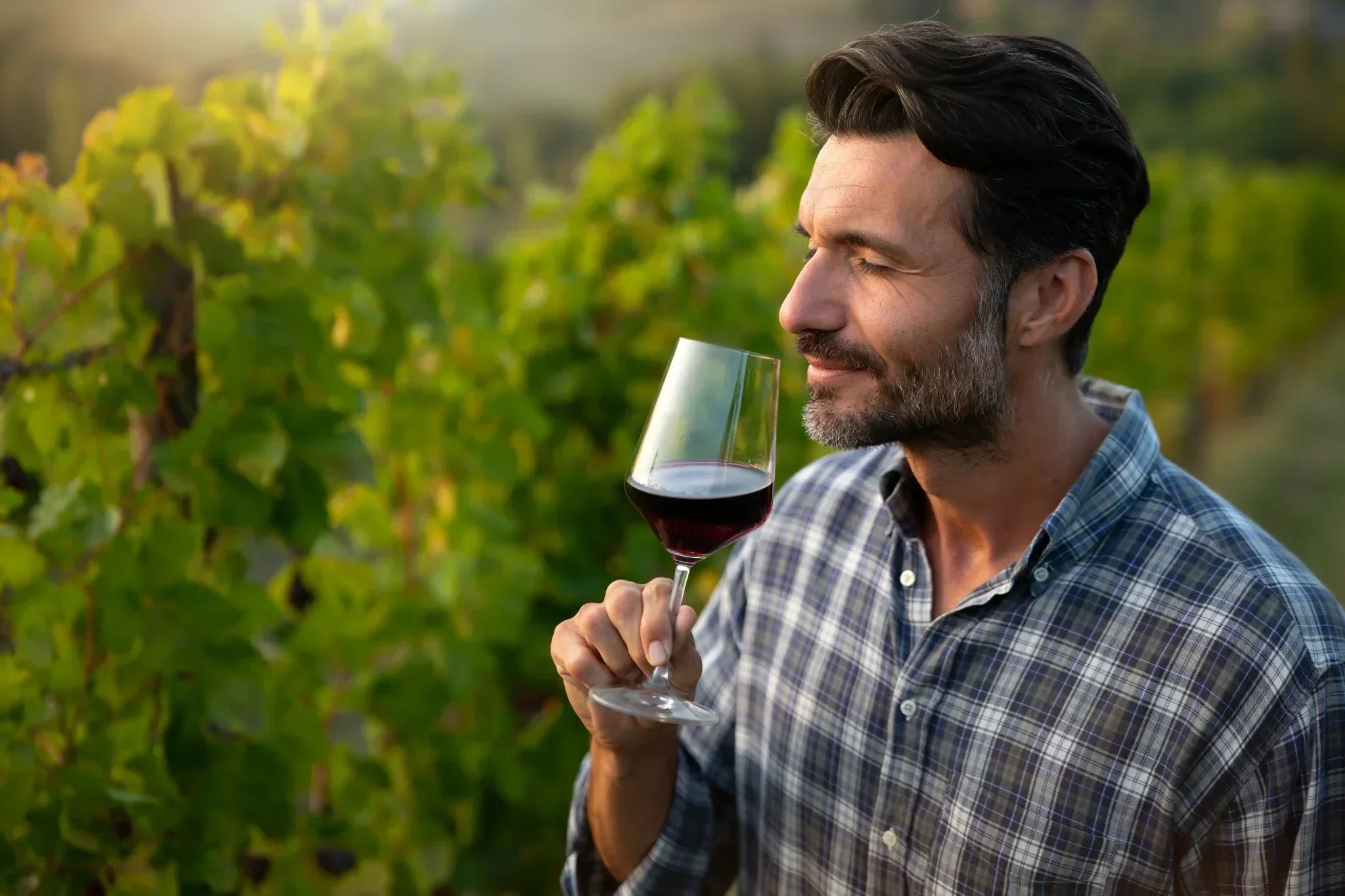 Winemaker standing in a vineyard, smelling a glass of wine to evaluate its aromas and connection to the terroir.
