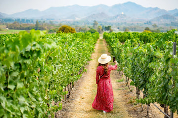 Woman walking among vineyard rows in Thailand, where tropical climate and adaptive viticulture shape wine production.