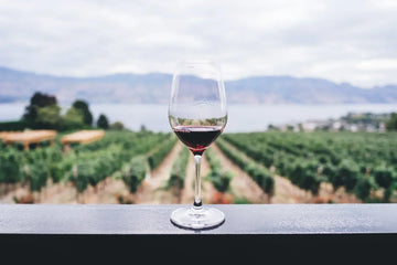 Glass of red wine with a vineyard and mountains in the background