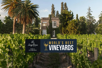 Luigi Bosca’s Finca El Paraíso estate and vineyards in Maipú, Mendoza, awarded among the World’s Best Vineyards 2025, showcasing the historic family winery and surrounding vines.