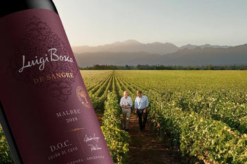 Luigi Bosca: A Century of Passion and Precision in Argentine Wine