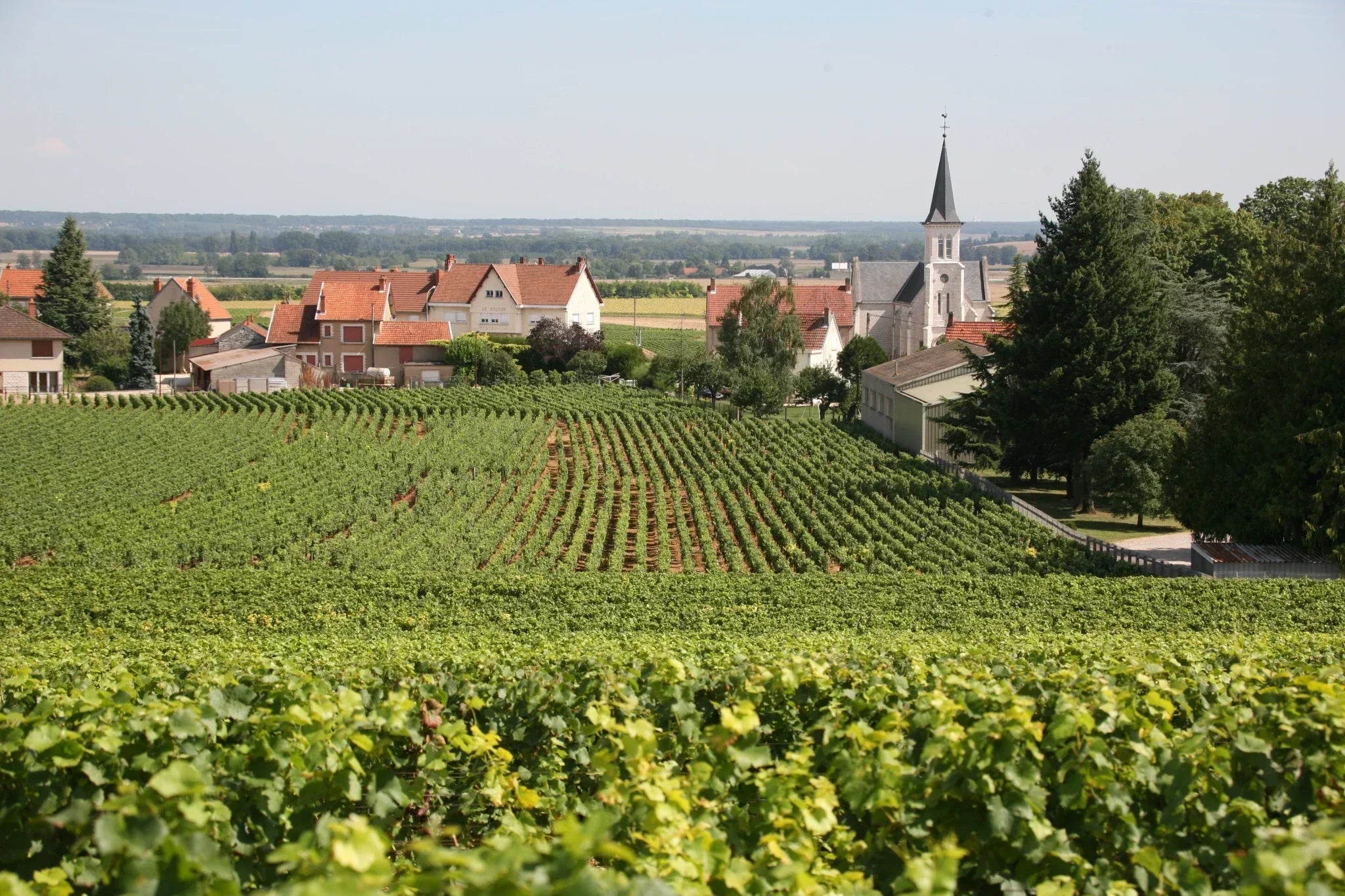 Vineyard landscape surrounding the village of Comblanchien in the Côte de Nuits, a key area for newly protected Bourgogne appellations. Source: BIVB / www.armellephotographe.com