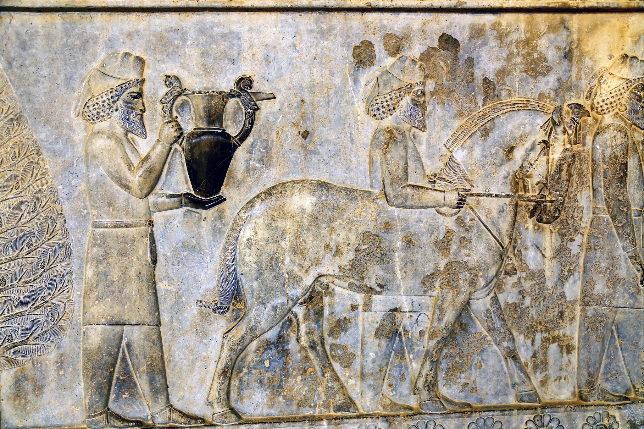Bas-relief showing Armenian envoys presenting their renowned wine to the king at the Apadana in Persepolis.