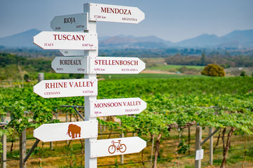 Hua Hin vineyards in Prachuap Khiri Khan Province, located 150 to 200 meters above sea level, where sandy soils and steady sea breezes shape a coastal expression of Thai wine.