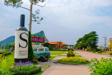 Pattaya vineyards in Chonburi Province, located near the coast at around 110 meters above sea level, where maritime influence shapes small scale wine production.