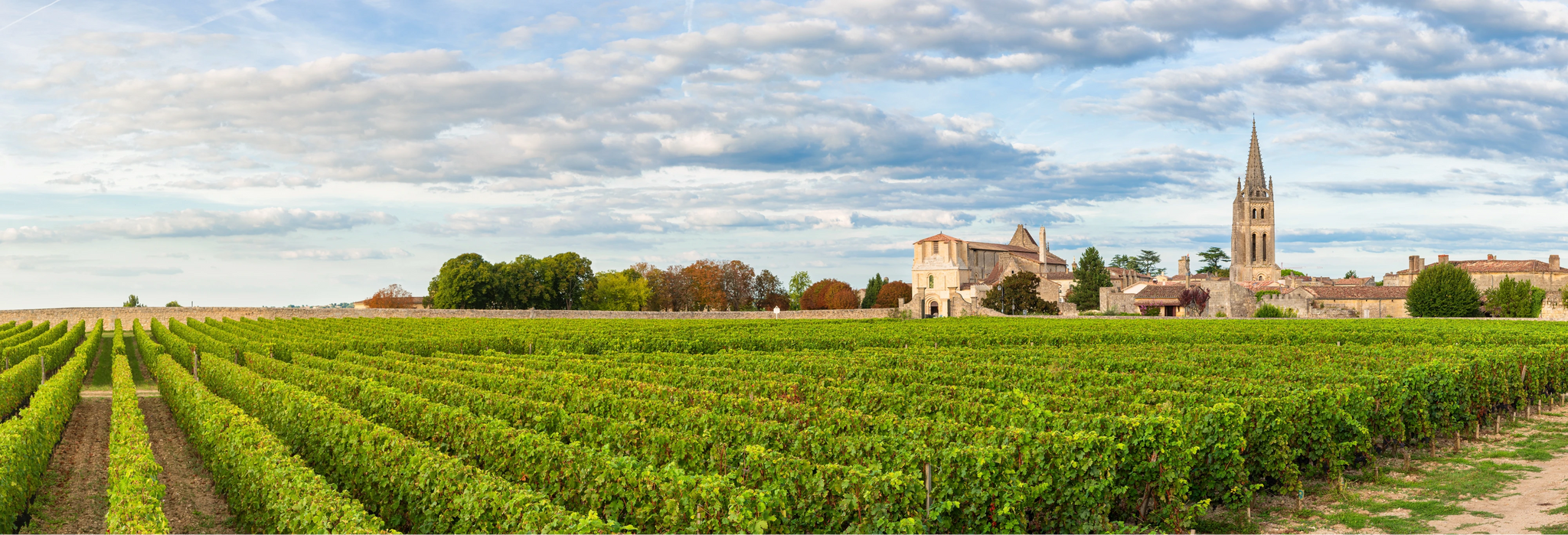 In the vineyards of Saint-Émilion and across Bordeaux, blending grape varieties such as Cabernet Sauvignon, Merlot, and Cabernet Franc creates wines of balance, complexity, and character.