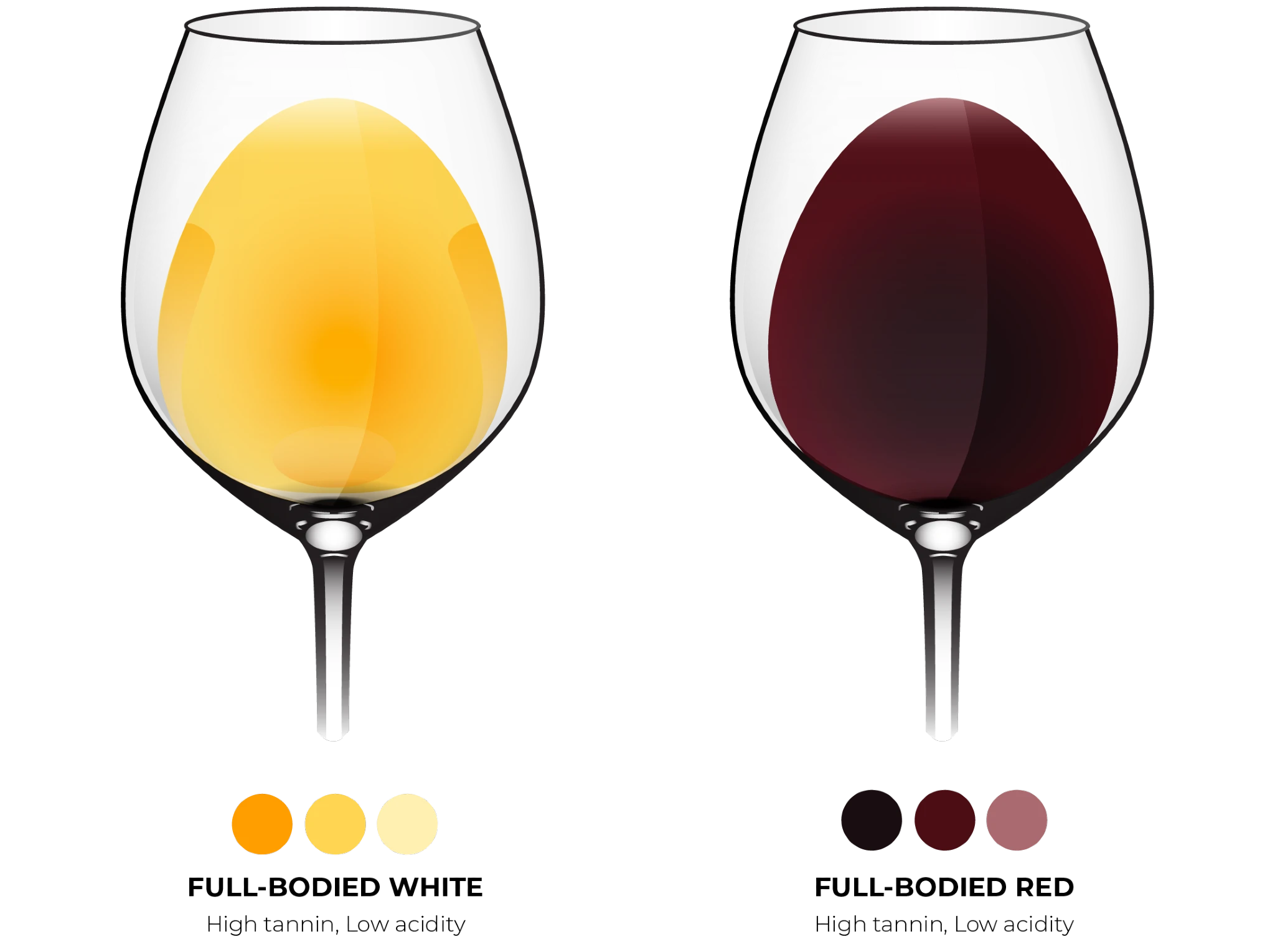 Rich, dense, and powerful, full-bodied wines deliver higher alcohol, firm tannins, and a deep, enveloping texture. Typical examples include Cabernet Sauvignon, Syrah, Malbec, Zinfandel, and fortified wines such as Port.