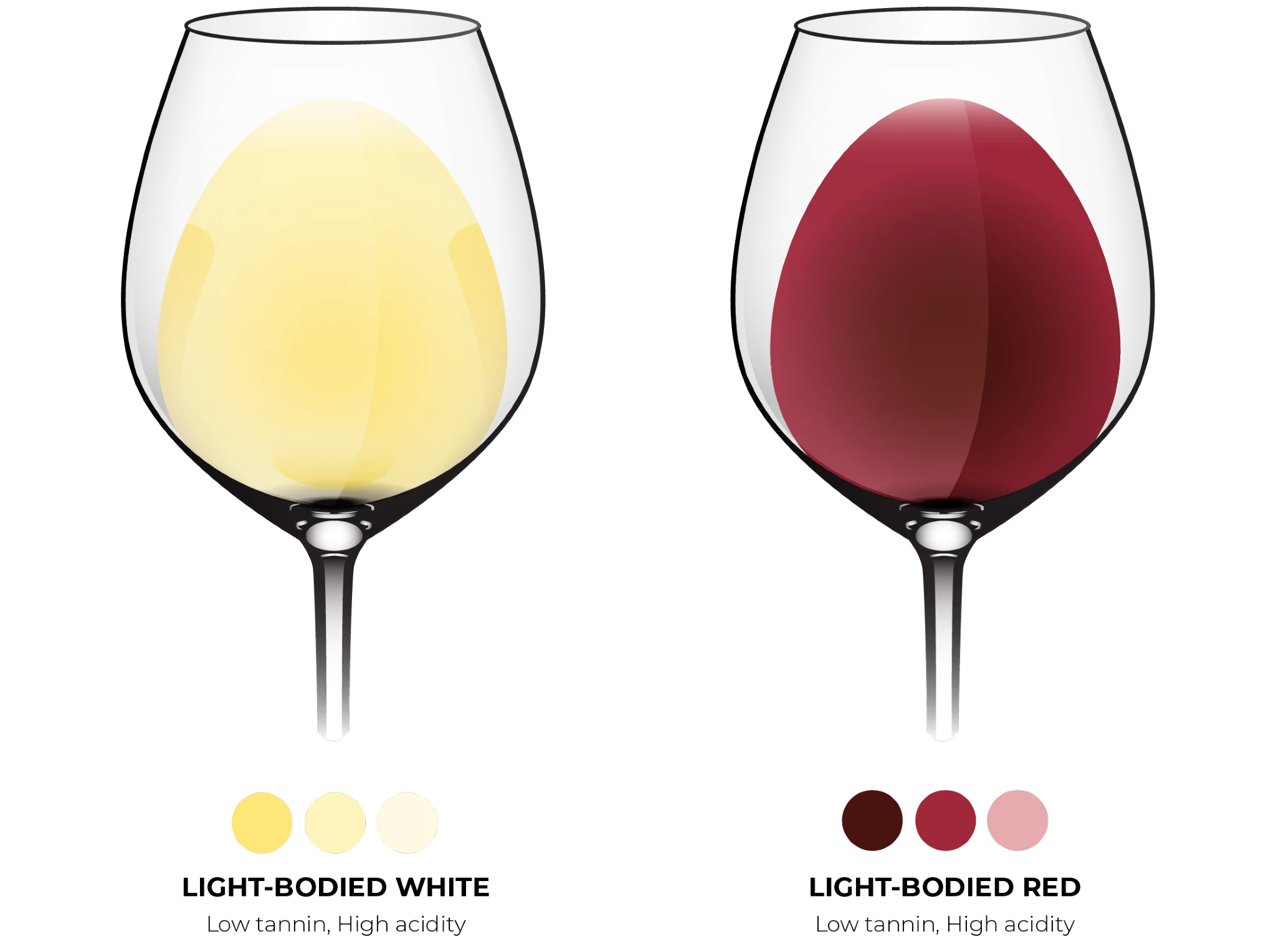 Fresh, crisp, and easy to drink, light-bodied wines offer lower alcohol, higher acidity, and a clean, gentle mouthfeel. Typical examples include Sauvignon Blanc, Pinot Grigio, Albariño, Vinho Verde, Pinot Noir, and Gamay.
