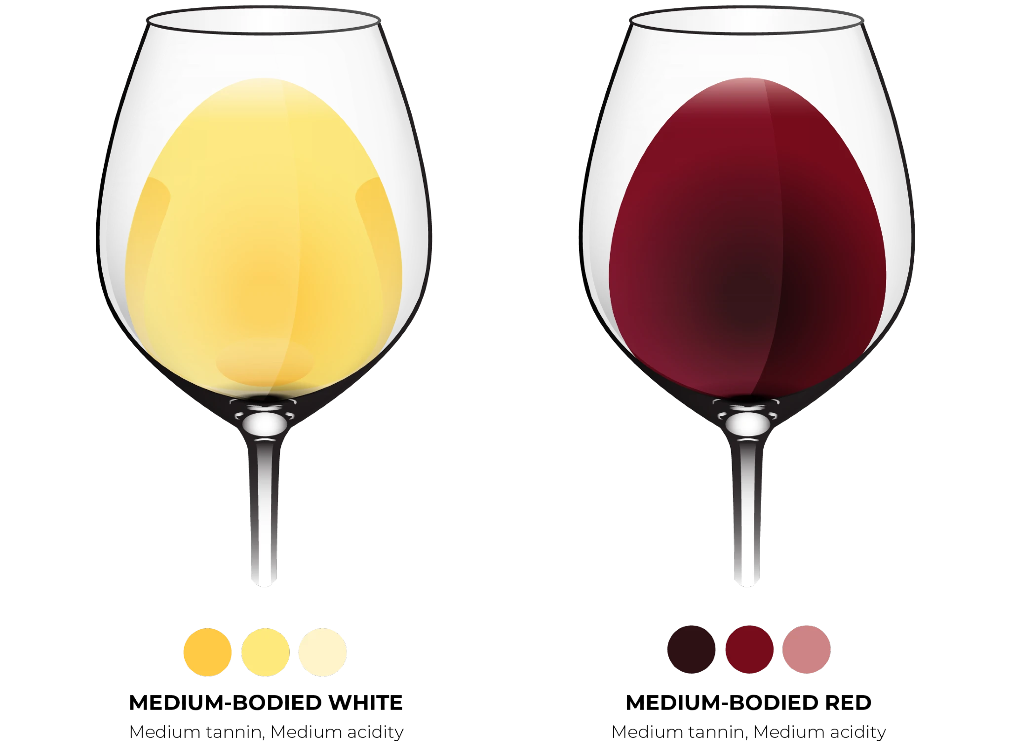 Versatile and balanced, medium-bodied wines offer moderate alcohol, smooth tannins, and a rounded texture that suits a wide range of dishes. Classic examples include Chardonnay, Chenin Blanc, Vermentino, Merlot, Grenache, and Sangiovese.