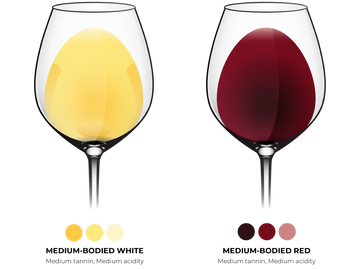 Versatile and balanced, medium-bodied wines offer moderate alcohol, smooth tannins, and a rounded texture that suits a wide range of dishes. Classic examples include Chardonnay, Chenin Blanc, Vermentino, Merlot, Grenache, and Sangiovese.
