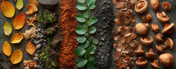 Earthy aromas reveal maturity and connection to the soil. Notes of forest floor, wet leaves, truffle, and clay emerge as wines age and fruit tones recede. They bring depth, warmth, and a grounded sense of place that defines complex, evolved wines.