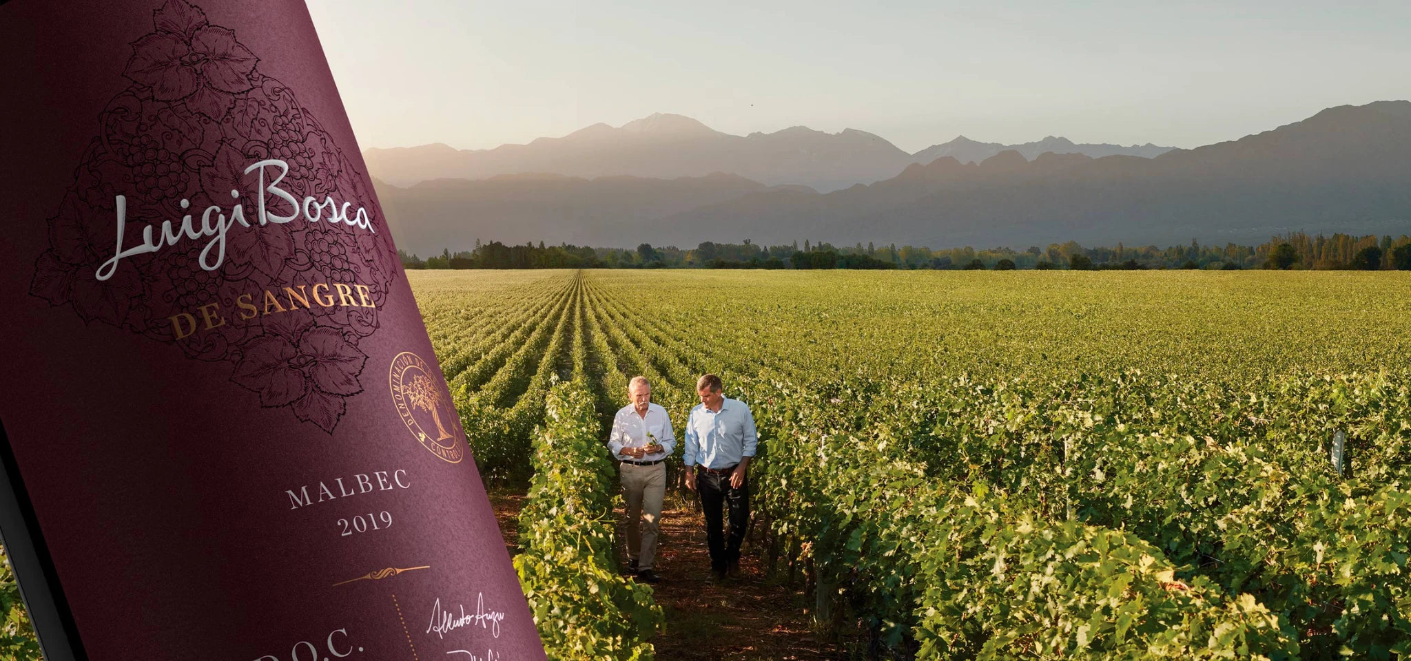 Luigi Bosca De Sangre wine bottle with winemaker Pablo Cúneo and Alberto Arizu Sr walking in the vineyard, with the Andes mountains in the background.slider_item_HdVFWp