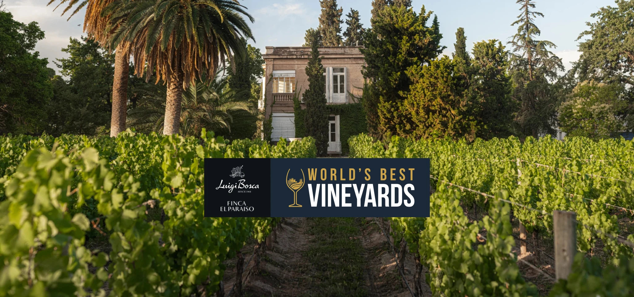 Luigi Bosca’s Finca El Paraíso estate and vineyards in Maipú, Mendoza, awarded among the World’s Best Vineyards 2025, showcasing the historic family winery and surrounding vines.slider_item_HdVFWp
