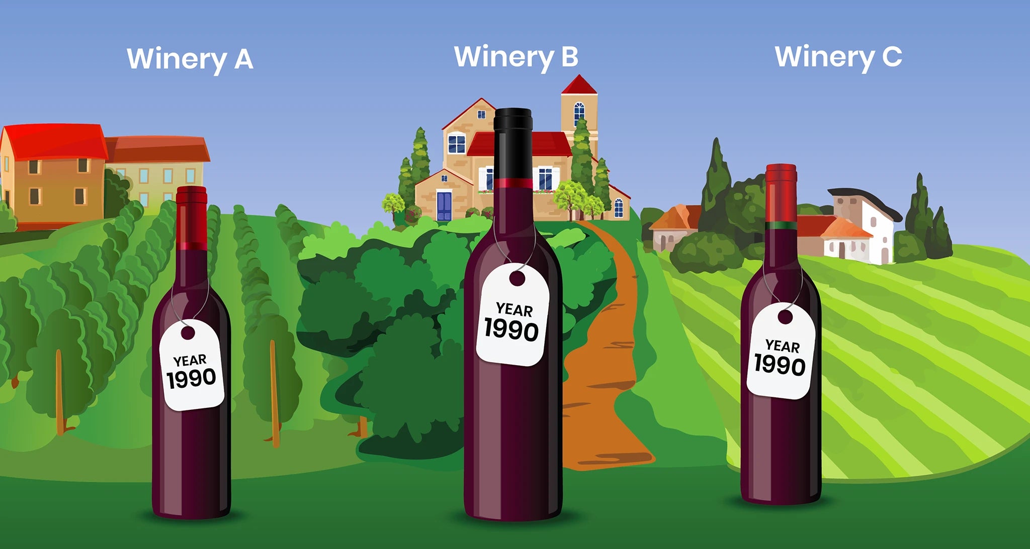 A horizontal tasting compares wines from the same vintage but different producers or vineyards, revealing how microclimates and winemaking choices influence style.