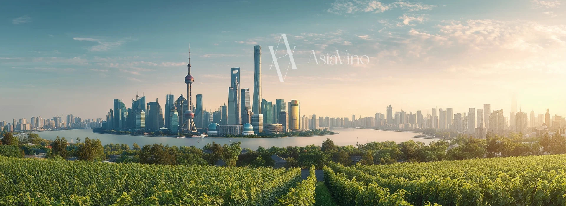 Vineyard with city skyline in the background, featuring the 'AsiaVino' logo.