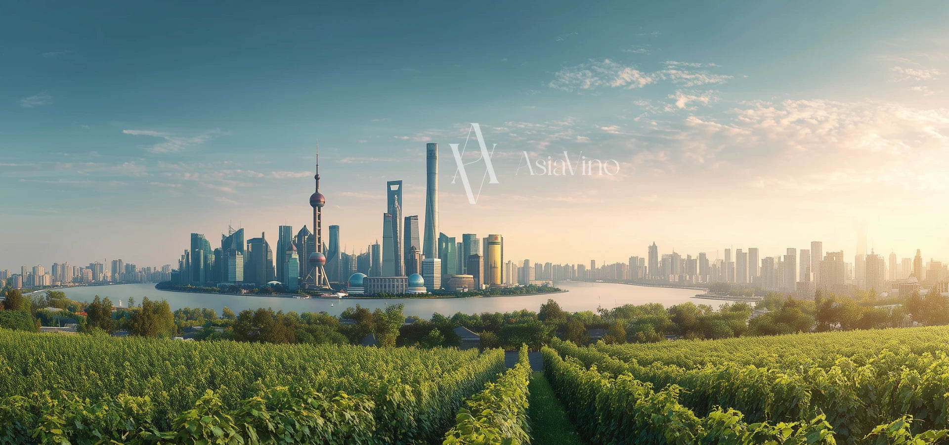 Vineyard with city skyline in the background, featuring the 'AsiaVino' logo.slider_item_UD7zVG