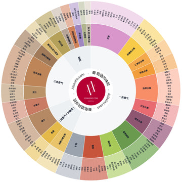 葡萄酒风味轮展示了常见的主要香气与风味家族。品鉴时可从中心开始，先确定大类，再向外延伸至更具体的风味层次。这一可视化工具有助训练感官记忆，并以更精准的语言描述葡萄酒。